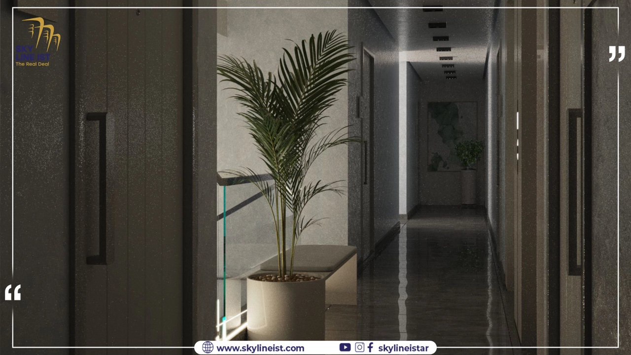صورة عقار